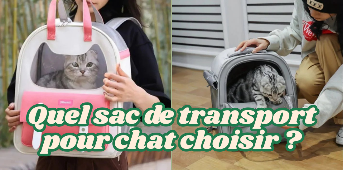Quel-sac-de-transport-pour-chat-choisir MonAmiFidèle