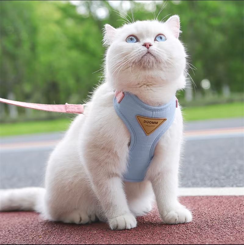 Harnais pour Chat confortable | HisoPet Harnais pour Chat confortable | HisoPet