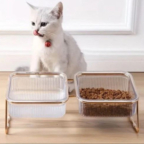 Gamelle inclinée pour Chat dorée MonAmiFidèle