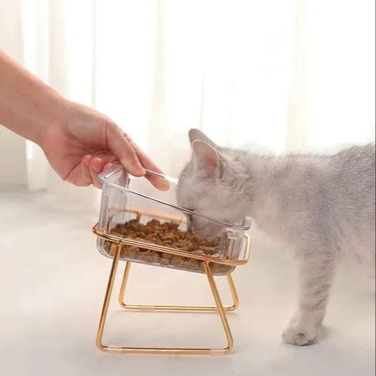 Gamelle inclinée pour Chat dorée MonAmiFidèle
