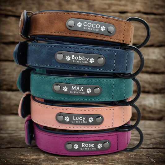 Collier pour Chien personnalisé en Cuir MonAmiFidèle
