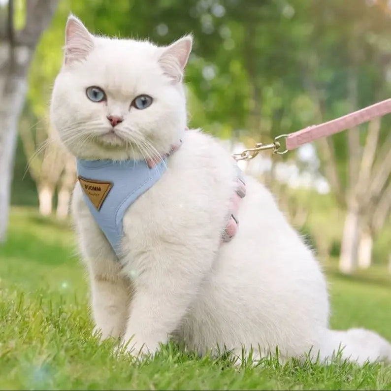 Harnais pour Chat MonAmiFidèle