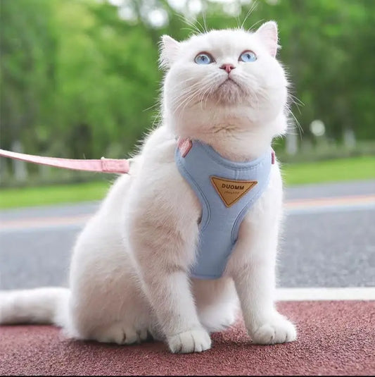 Harnais pour Chat MonAmiFidèle