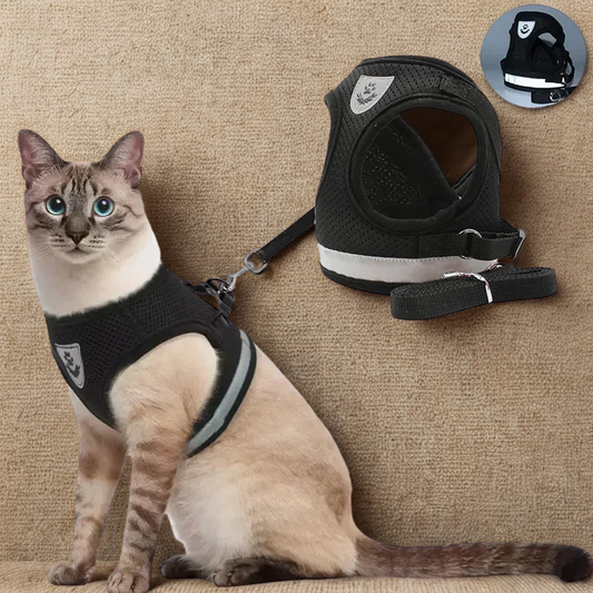 Harnais Chat anti-fugue MonAmiFidèle