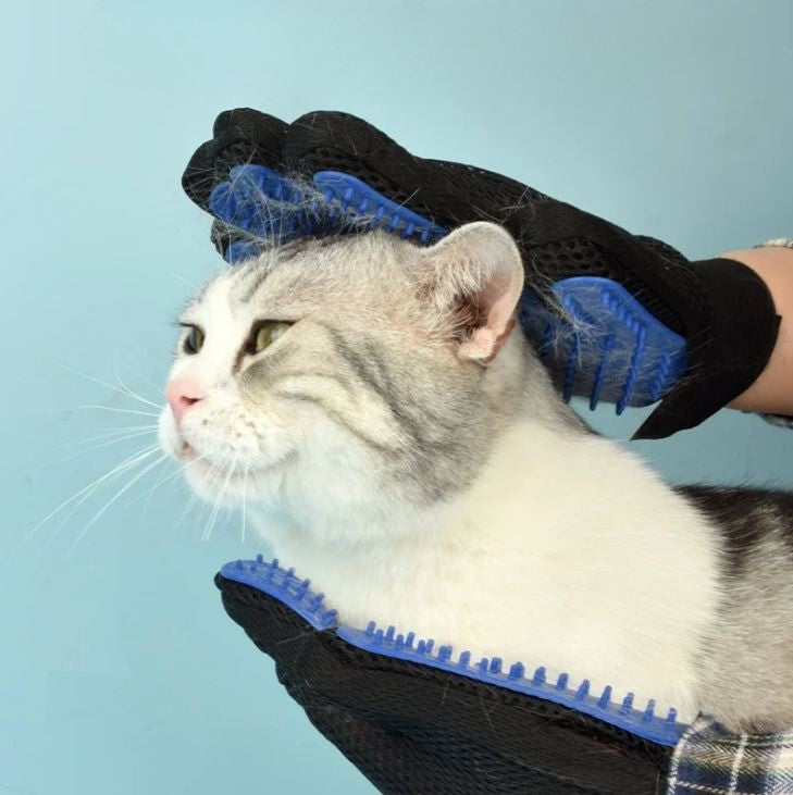 Gant brosse pour Chat MonAmiFidèle
