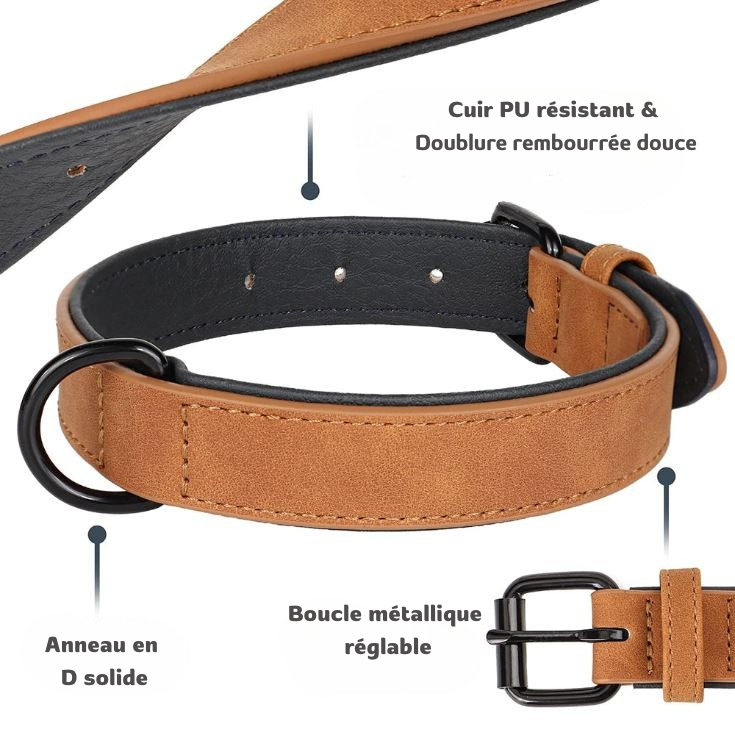 Collier cuir grand Chien MonAmiFidèle