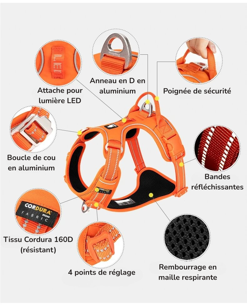 Harnais anti traction en Y Chien MonAmiFidèle