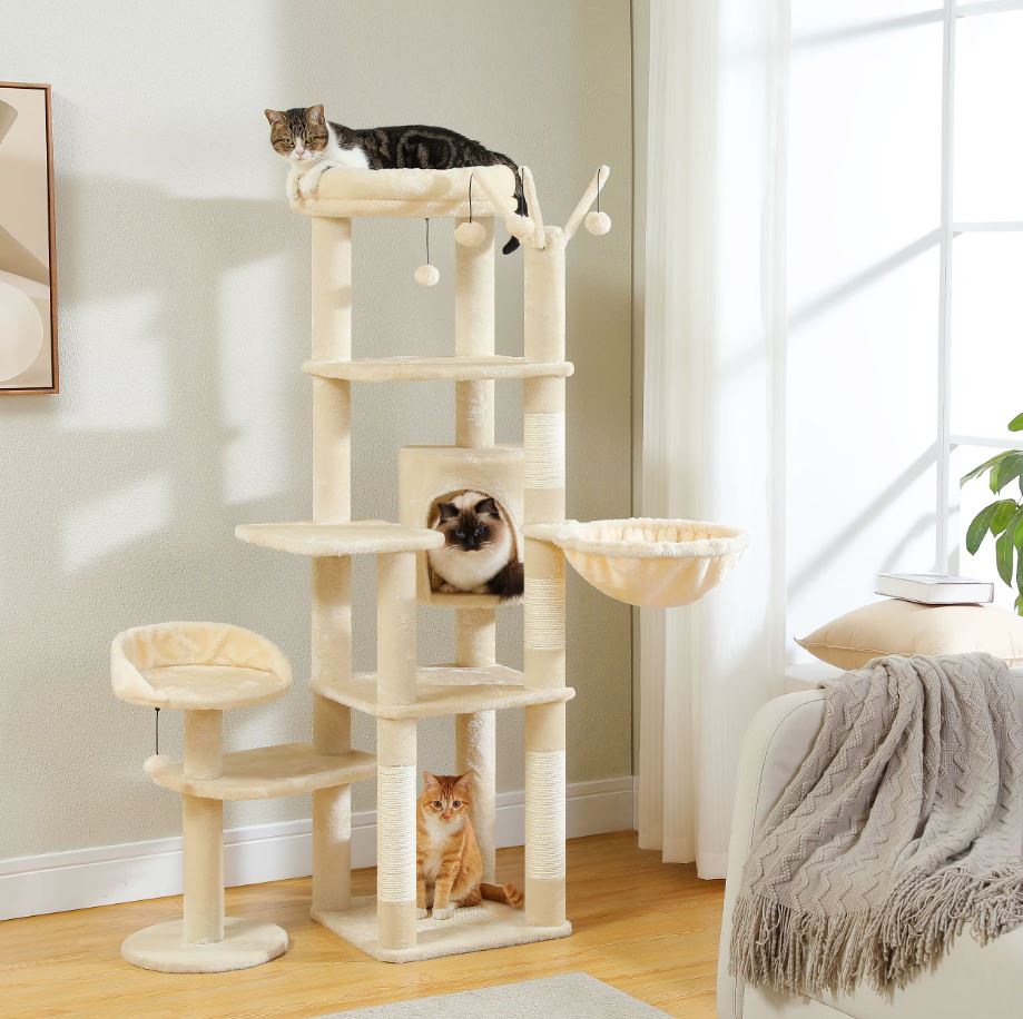 Grand arbre a Chat