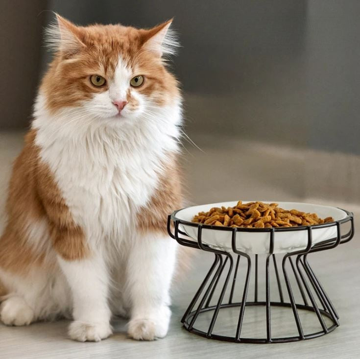 Gamelle chat surélevée céramique MonAmiFidèle