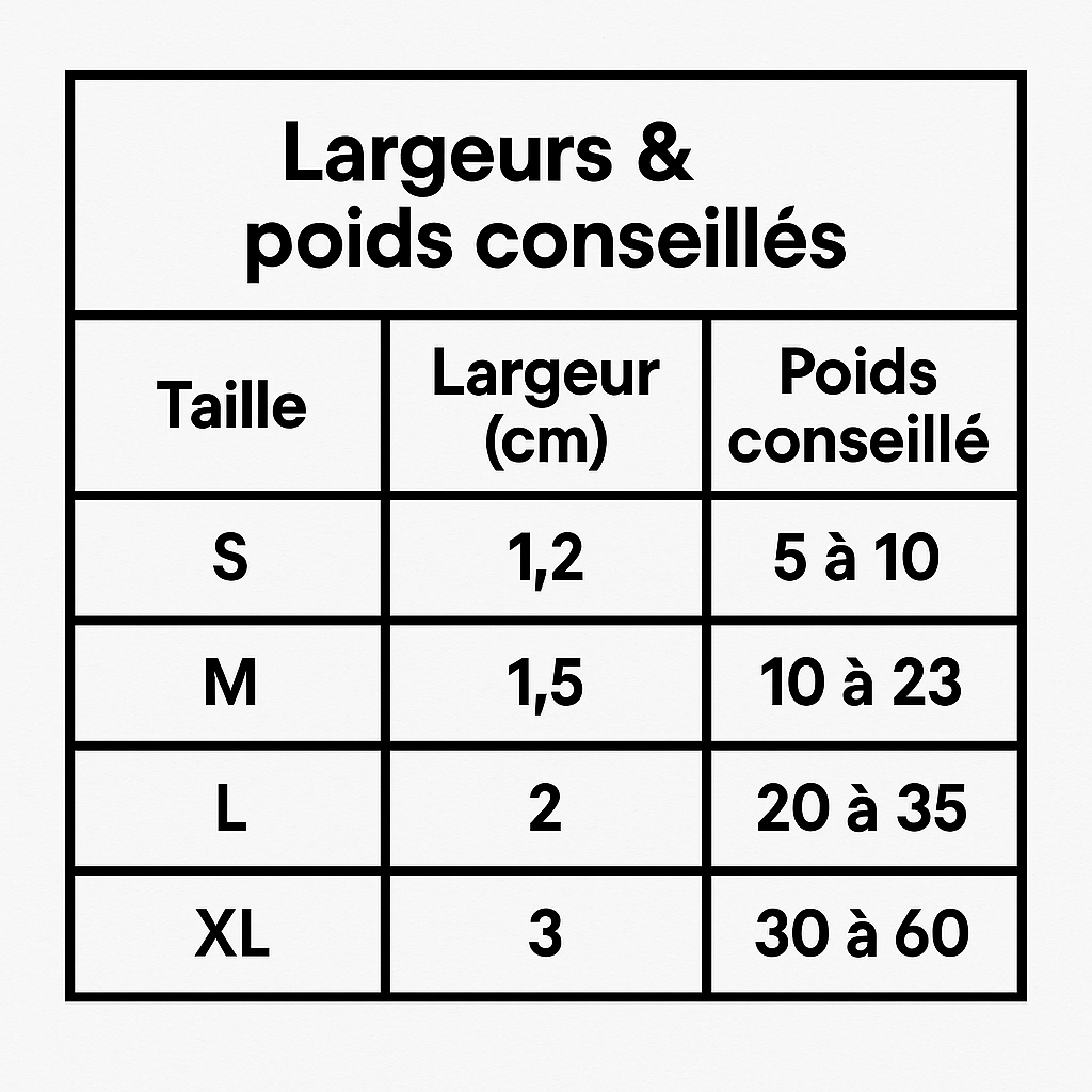 Laisse en nylon pour Chien MonAmiFidèle