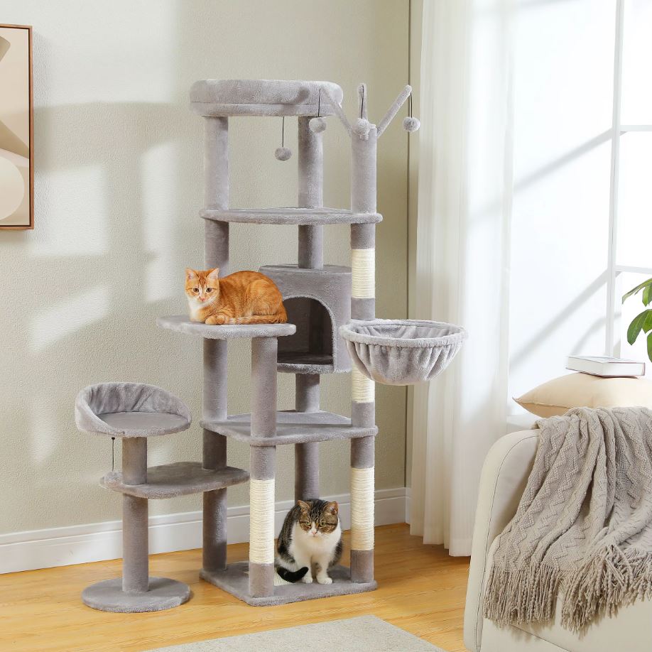 Grand arbre a Chat