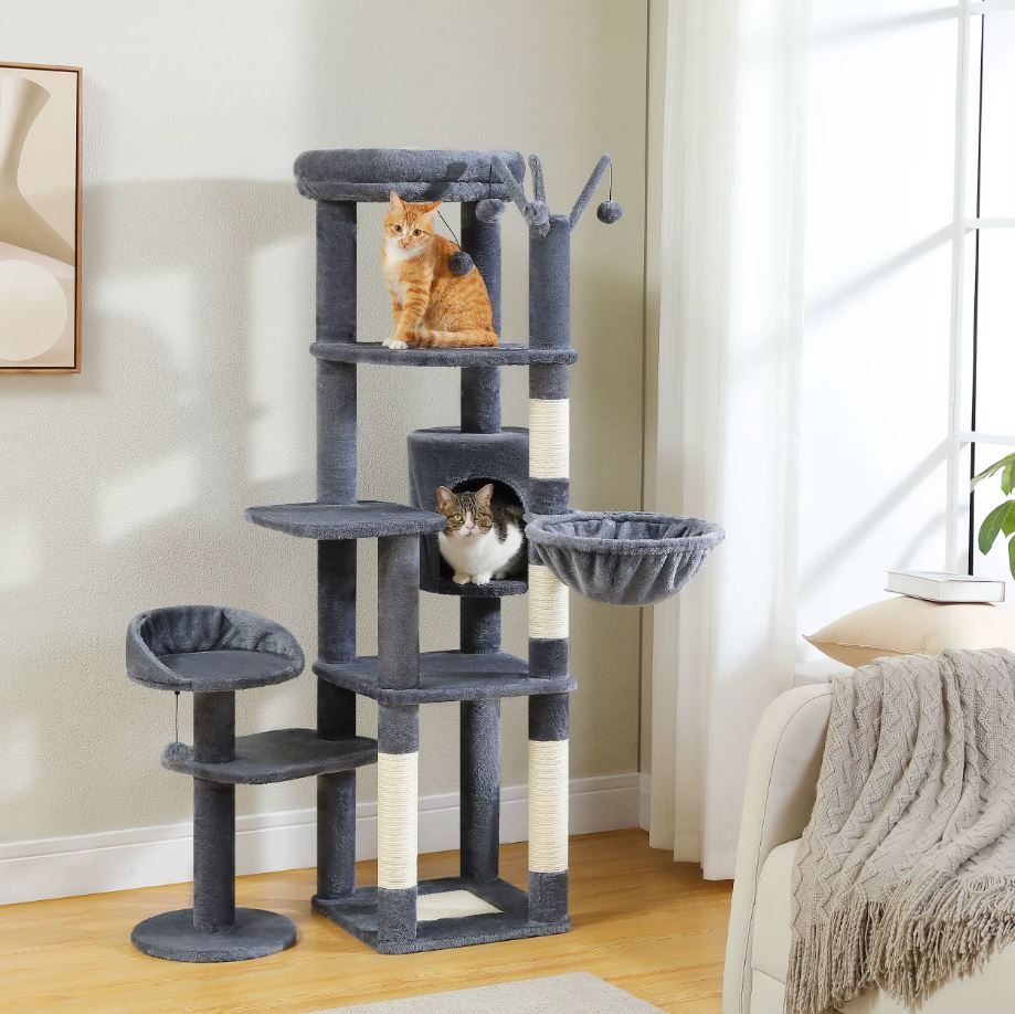Grand arbre a Chat