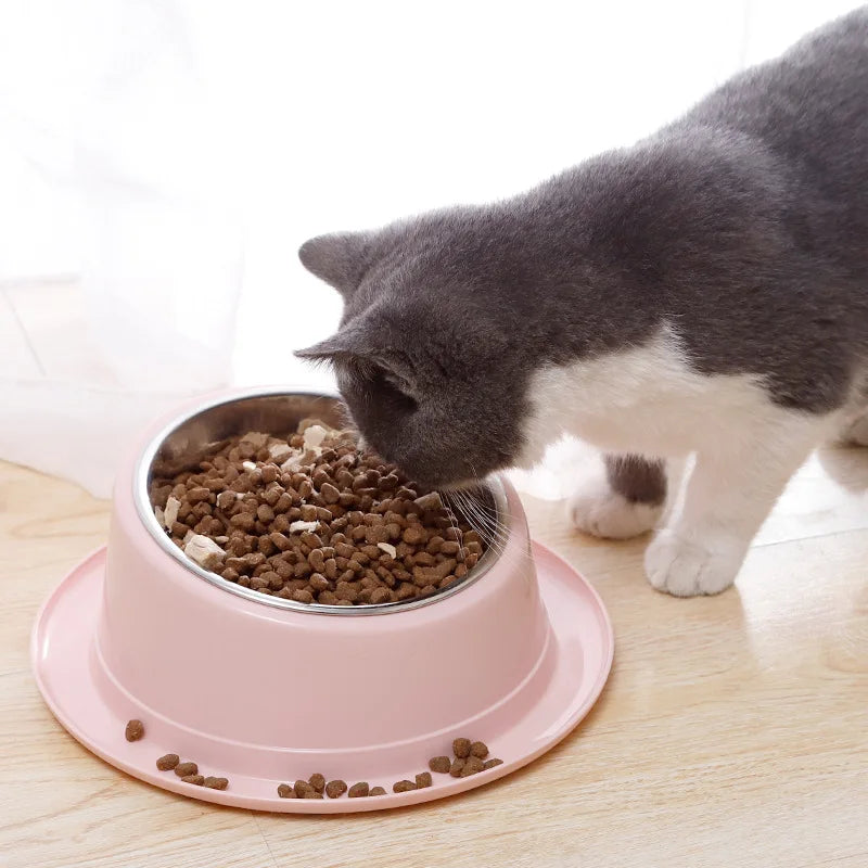 Gamelle inclinée pour Chat MonAmiFidèle