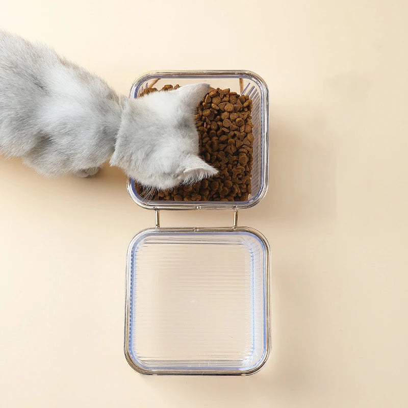 Gamelle inclinée pour Chat dorée MonAmiFidèle
