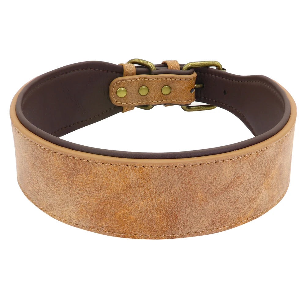 Collier en cuir pour Chien Large MonAmiFidèle