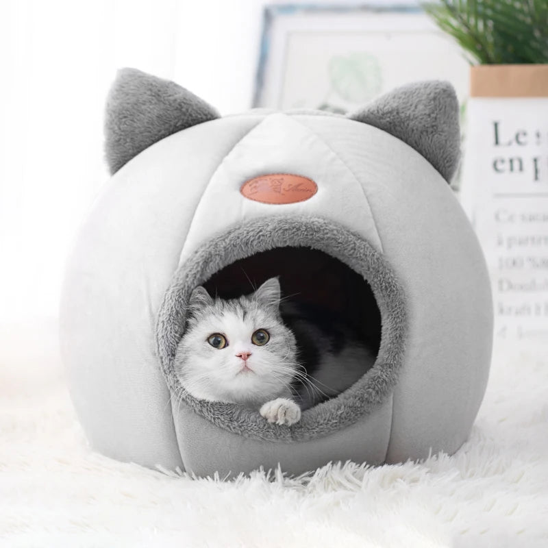 Igloo Chat MonAmiFidèle