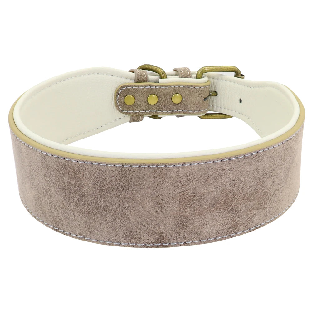 Collier en cuir pour Chien Large MonAmiFidèle