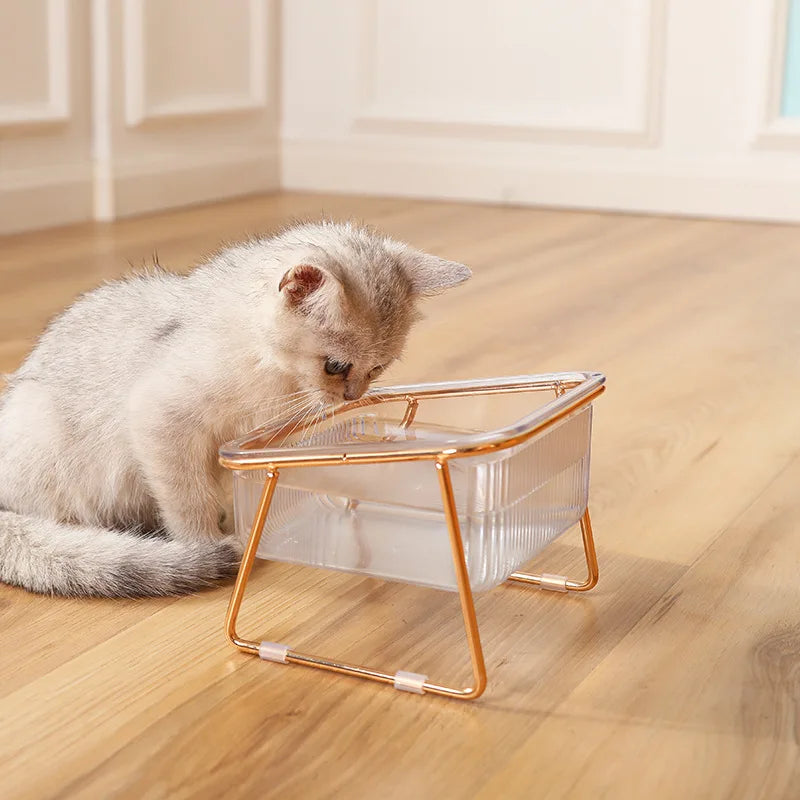 Gamelle inclinée pour Chat dorée MonAmiFidèle