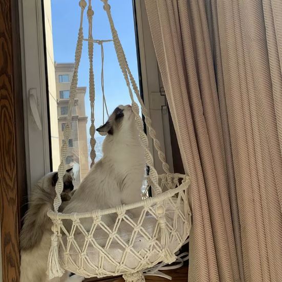 Panier Suspendu en Macramé pour Chat