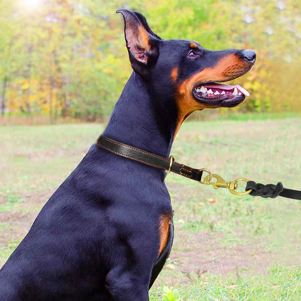 Collier coulissant Chien MonAmiFidèle