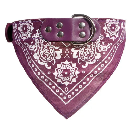 Collier bandana Chien MonAmiFidèle