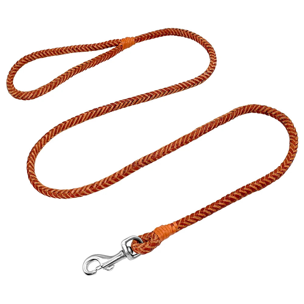 Laisse chien en Cuir tressé MonAmiFidèle