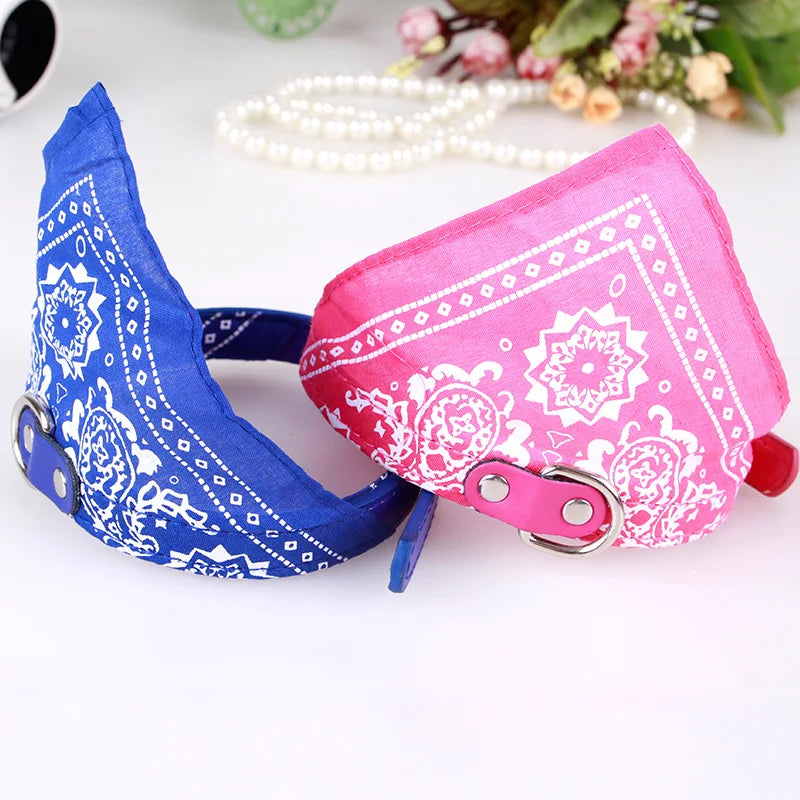 Collier bandana Chien MonAmiFidèle