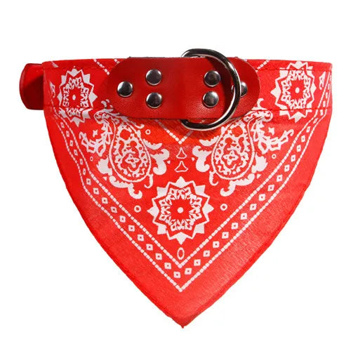 Collier bandana Chien MonAmiFidèle