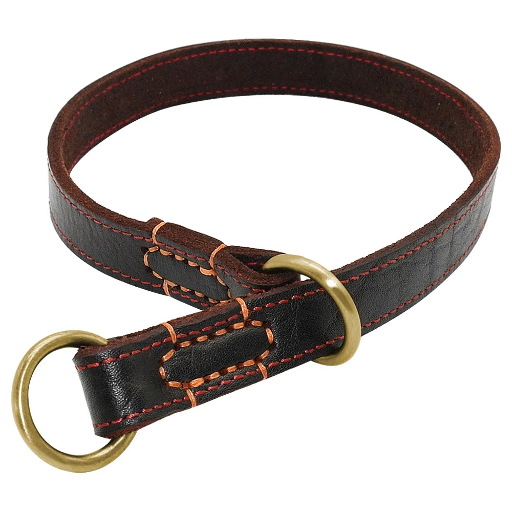 Collier coulissant Chien MonAmiFidèle