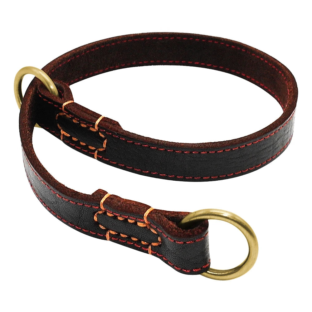 Collier coulissant Chien MonAmiFidèle
