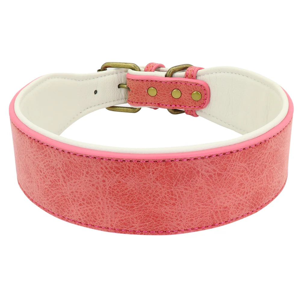 Collier en cuir pour Chien Large MonAmiFidèle