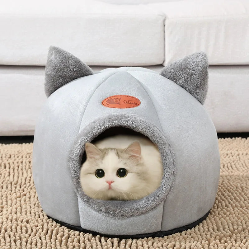 Igloo Chat MonAmiFidèle