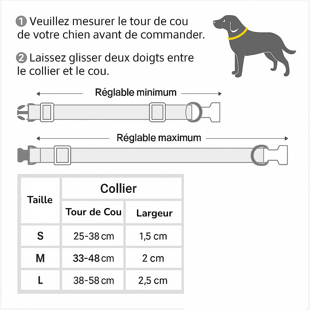 Collier pour Chien personnalisé en Cuir et Nylon MonAmiFidèle