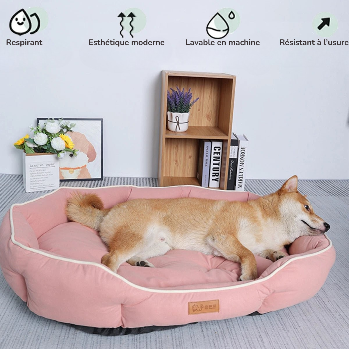 Large Dog Bed for Cats All Seasons Dog Pad Summer Sleeping Puppy Bed for French Bulldog Teedy Cooling Cat Bed for Small Dog Pet MonAmiFidèle