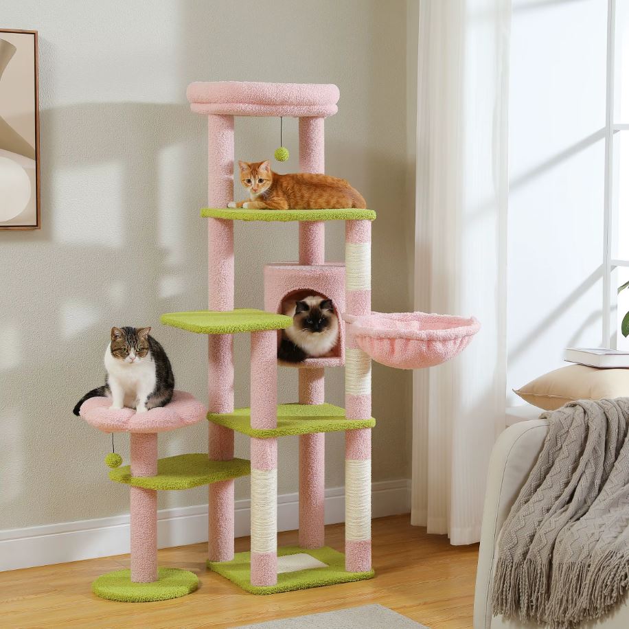 Grand arbre a Chat