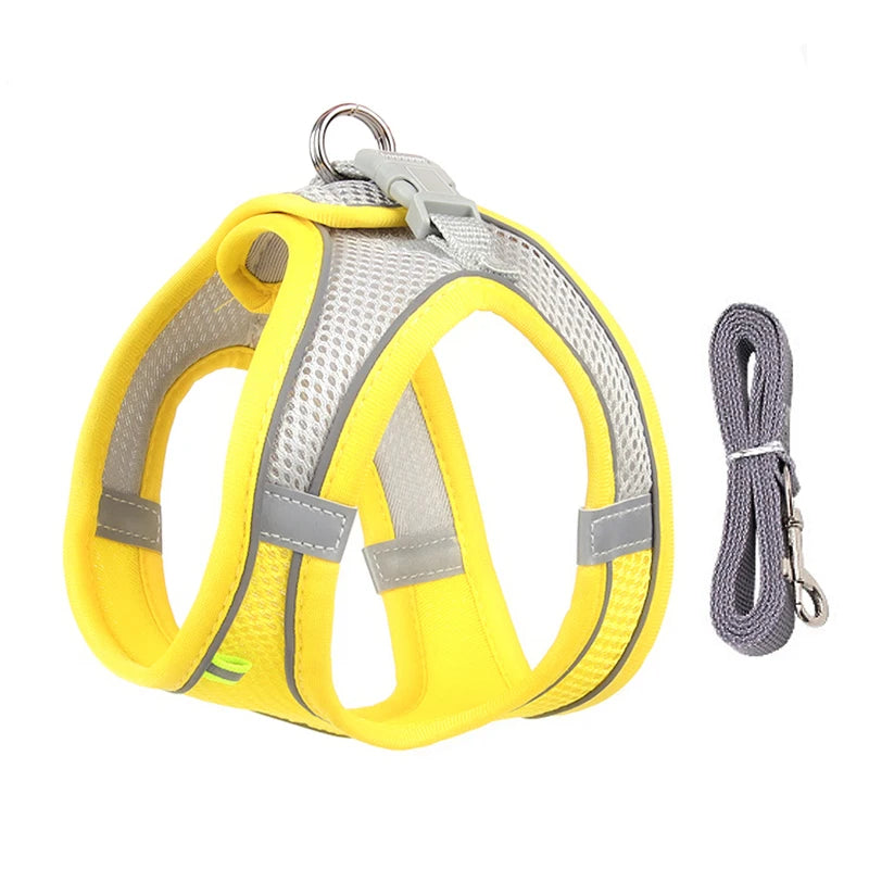 Harnais pour petit Chien MonAmiFidèle