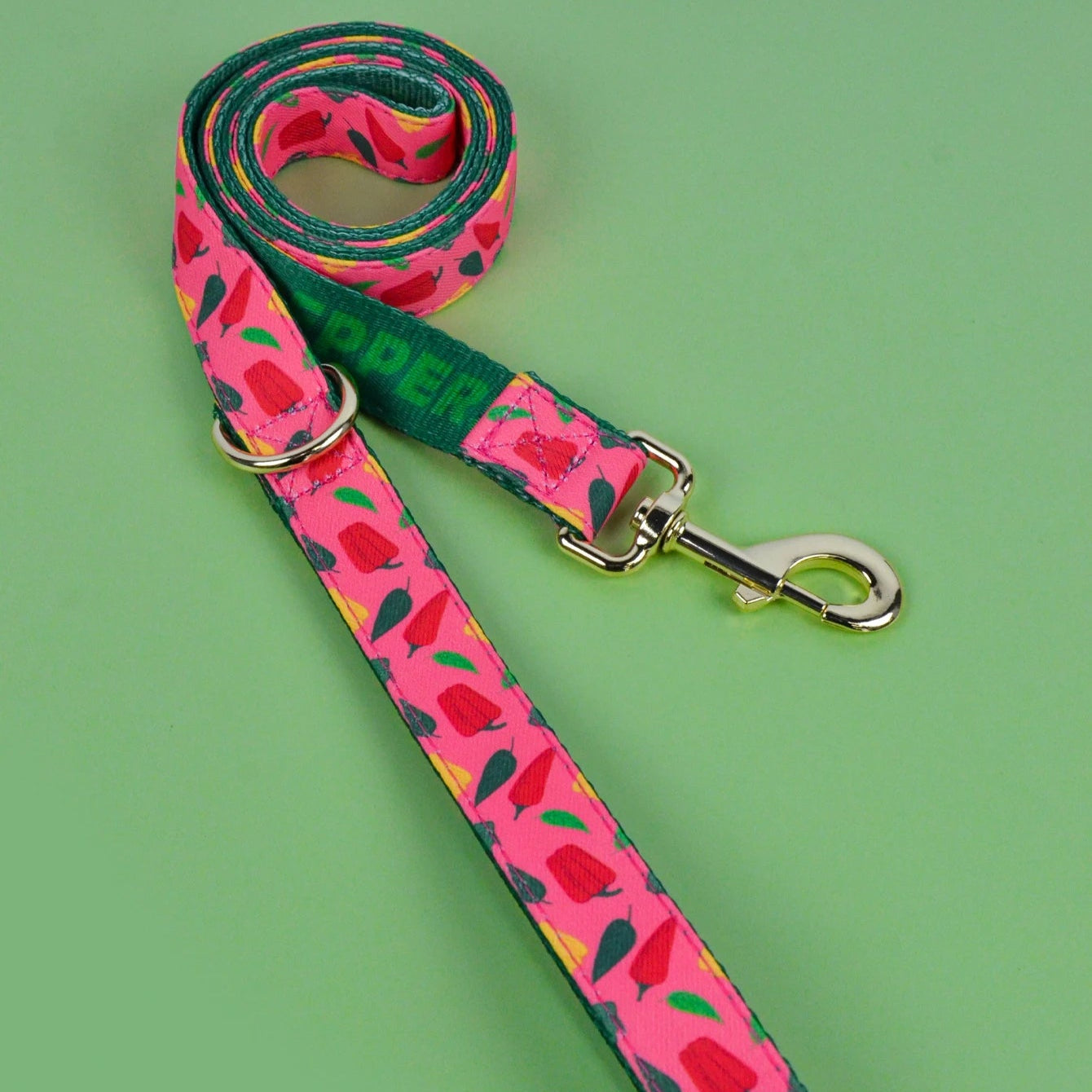 Laisse pour Chien avec motif MonAmiFidèle