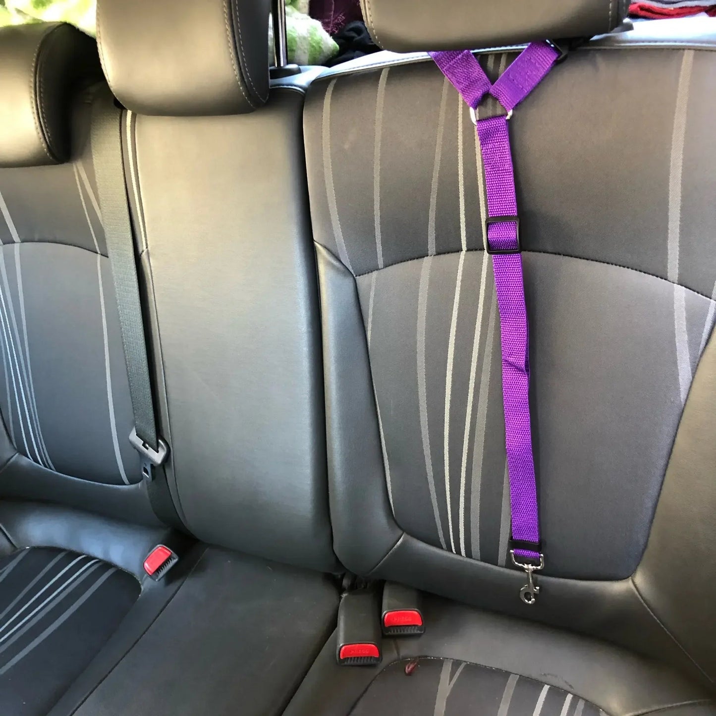 Laisse pour voiture pour Chien MonAmiFidèle