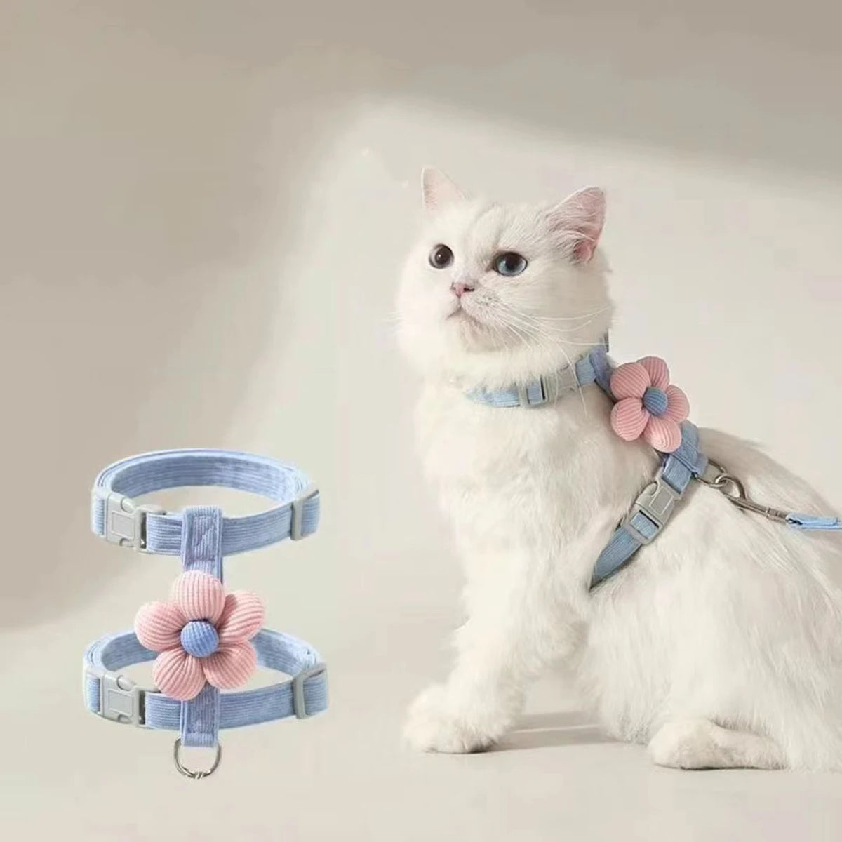 Harnais Laisse Chat Mignon MonAmiFidèle