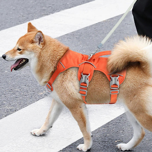 Harnais Chien avec Poignée MonAmiFidèle