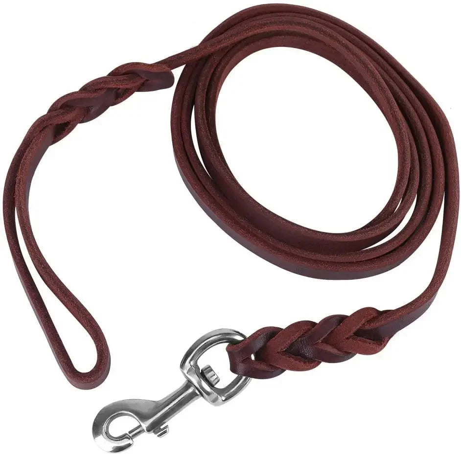 Laisse en cuir Chien MonAmiFidèle