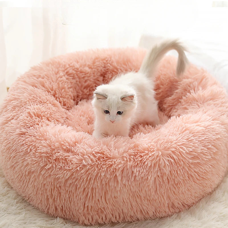 Nid douillet pour Chat MonAmiFidèle