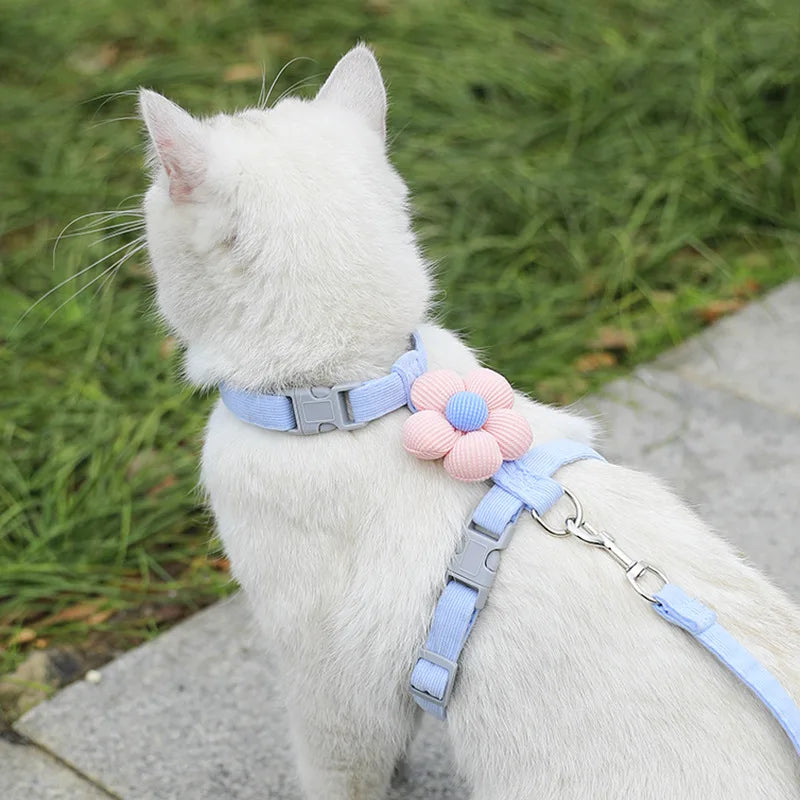 Harnais Laisse Chat Mignon MonAmiFidèle