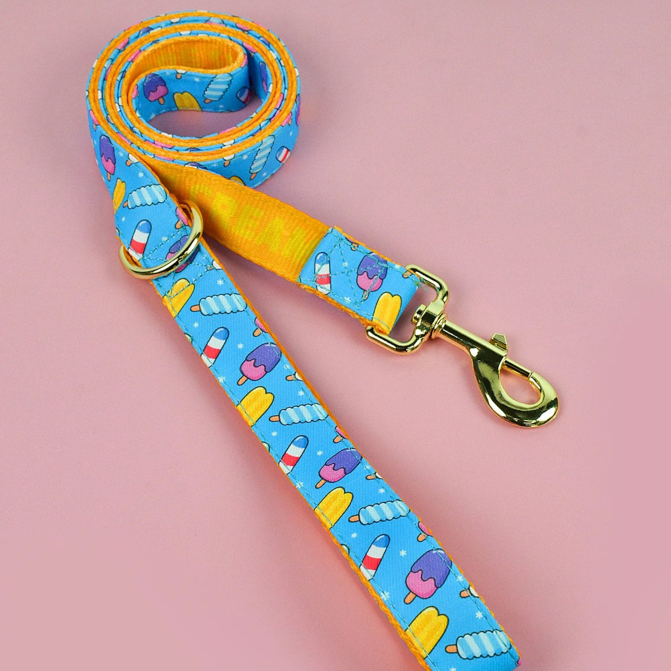 Laisse pour Chien avec motif MonAmiFidèle