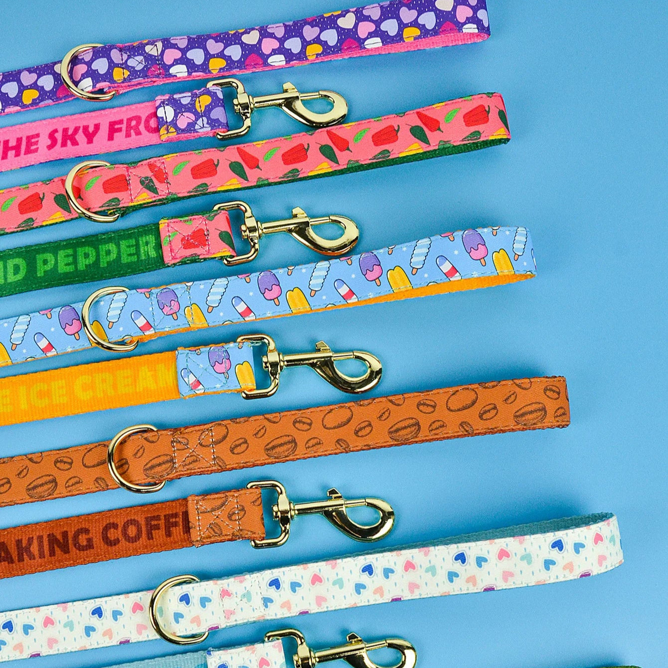 Laisse pour Chien avec motif MonAmiFidèle