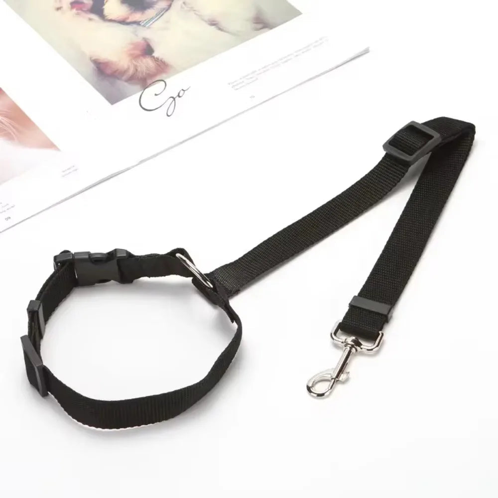 Laisse pour voiture pour Chien MonAmiFidèle