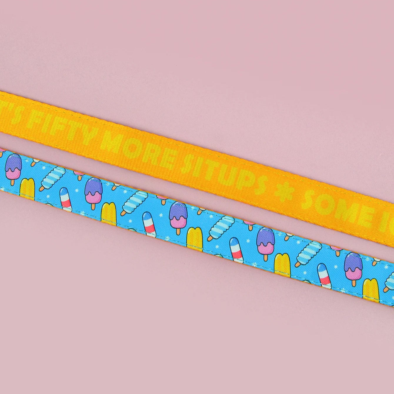 Laisse pour Chien avec motif MonAmiFidèle