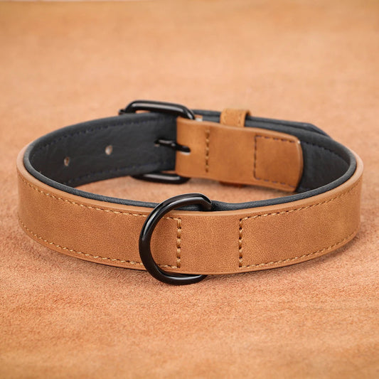 Collier cuir grand Chien MonAmiFidèle