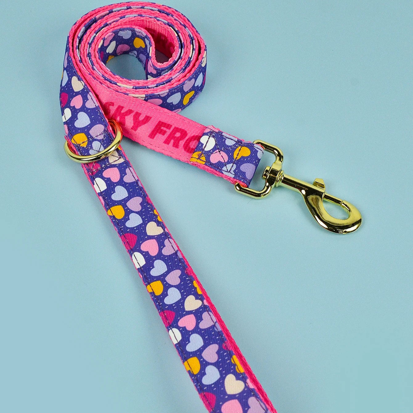 Laisse pour Chien avec motif MonAmiFidèle