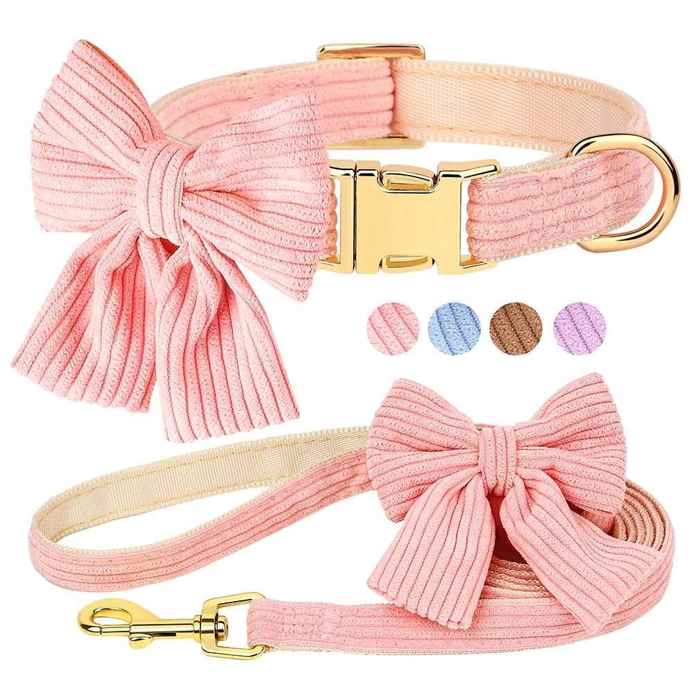 Collier et Laisse chien MonAmiFidèle